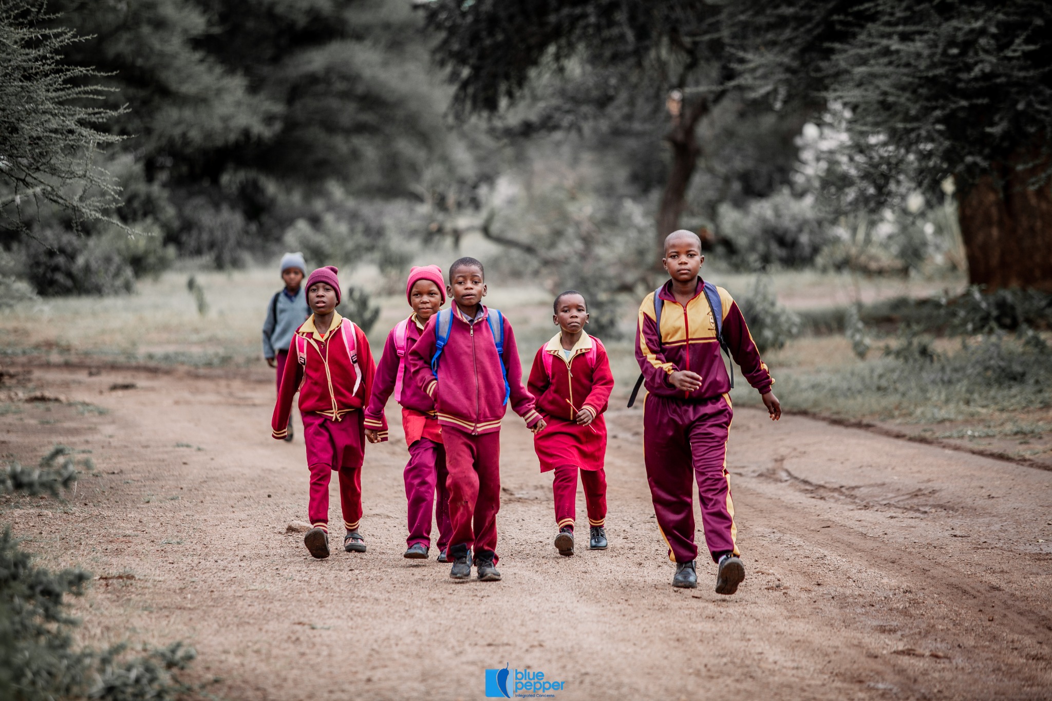 Seboza learners walking to school together
