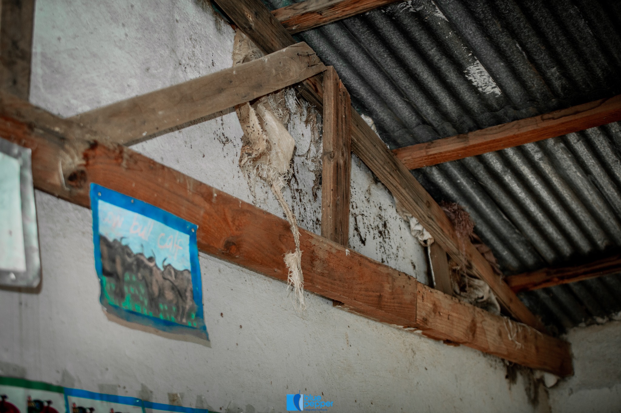 Exposed and deteriorating roof structure at Seboza Primary School